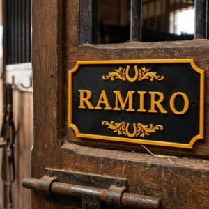 Home personalisiertes 3d boxenschild 🐎